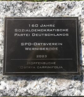 Baumspende Plakette SPD Wernigerode