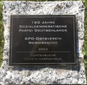 Baumspende Plakette SPD Wernigerode
